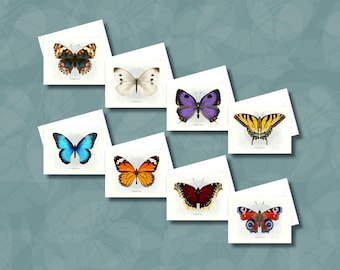 Butterfly Thank You Cards Set, Illustrated Blank Notecards
