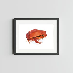 Impression d'art 5 x 7 de grenouille TOMATE, impression de grenouille, oeuvre d'art de grenouille pour la maison, impression de carte postale de grenouille fléchettes, carte postale d'art aquarelle tomate, grenouille