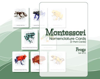 3 PART CARDS FROGS, Montessori Nomenclature Cards, Illustrated Frogs, Montessori Material, Montessori Flash Cards, Home Schooling Material