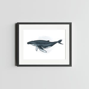 Baleine à bosse Impression d'art 5 x 7 de baleine Impression déco baleine pour la maison Impression de carte postale de baleine à bosse Carte postale d'art aquarelle baleine
