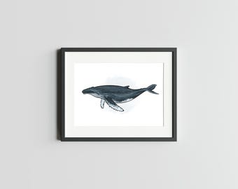 Humpback Whale Art Print, Watercolor Whale Illustration (5x7)