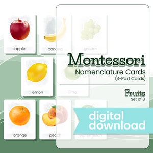 Nomenclature Montessori cartes FRUITS ILLUSTRÉS, matériaux Montessori, cartes imprimables Montessori, cartes en 3 parties, téléchargement numérique