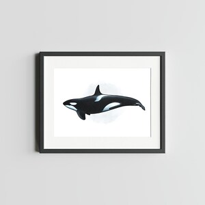 ORQUE 5 x 7 impression d'art de baleine impression déco d'oeuvre d'art d'épaulard pour la maison impression de carte postale orque carte postale d'art aquarelle d'épaulard