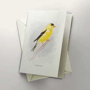 Carte de voeux vierge chardonneret américain, carte de remerciement chardonneret jaune, carte de voeux oiseau, carte minimaliste, carte oiseau mignon, carte vierge chardonneret jaune