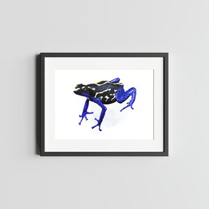 Teinture POISON DART Frog Impression d'art 5 x 7 de grenouille impression Decor de grenouille oeuvre d'art pour la maison Impression de carte postale de fléchettes grenouille Carte postale d'art aquarelle grenouille