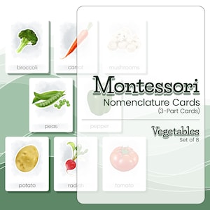 Cartes de nomenclature Montessori Légumes ILLUSTRÉS, Matériel Montessori, Cartes en 3 parties, Cartes flash Montessori, Matériel scolaire à domicile