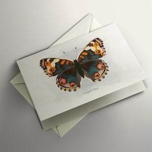BUCKEYE COMMUN BLEU Carte de remerciement papillon Carte de voeux minimaliste Cartes de remerciement Carte de voeux papillon Carte de remerciement printanière