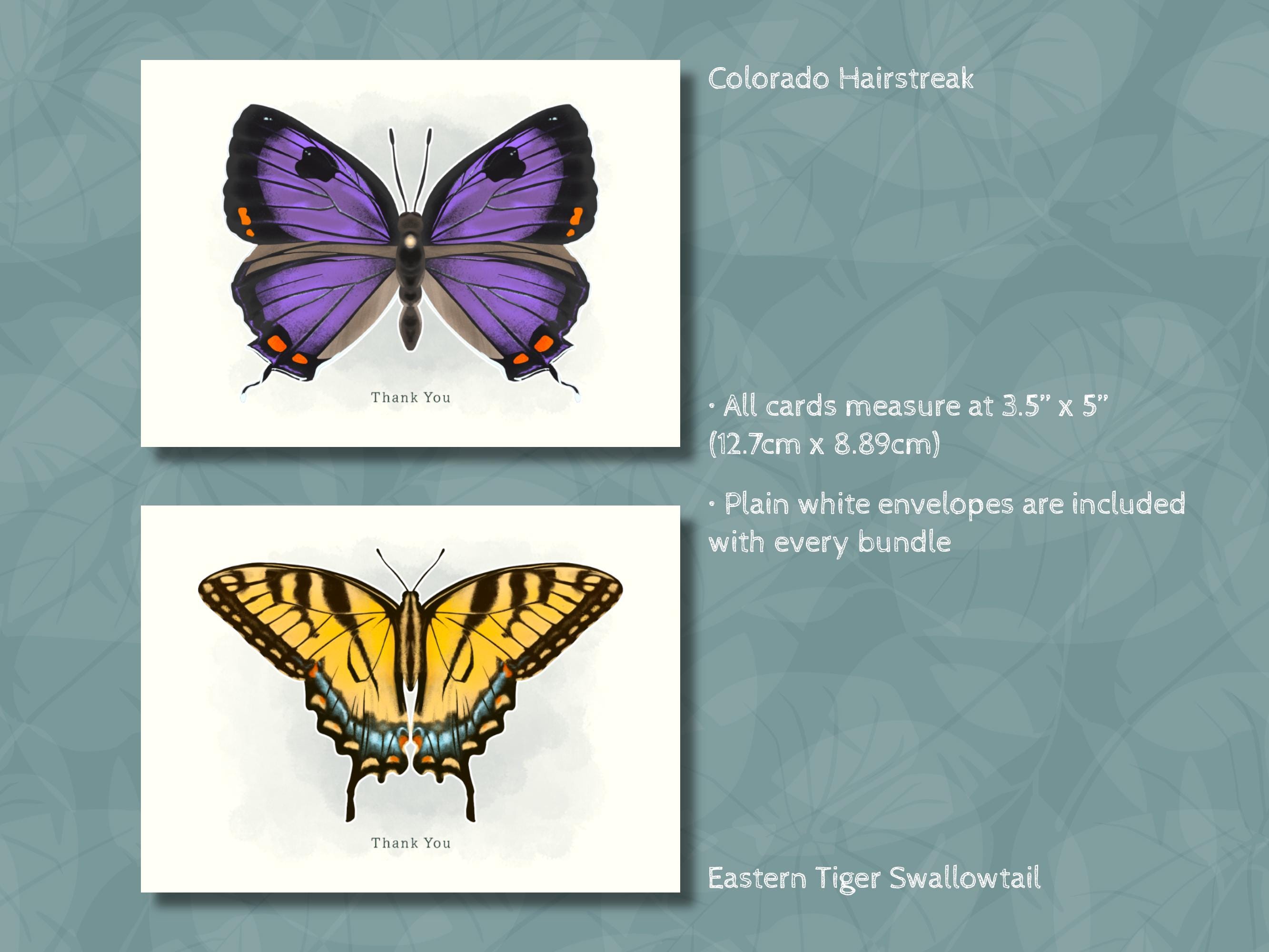 Butterfly Thank You Cards Set, Illustrated Blank Notecards - Etsy
