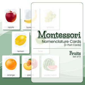 Montessori Nomenclature Cards ILLUSTRATED FRUITS, Montessori Material, 3 Part Cards, Montessori Flash Cards, Classroom Material, Home School