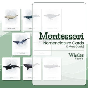 CARTES EN 3 PARTIES BALEINES Cartes de nomenclature Montessori Matériel Montessori illustré sur les baleines Cartes éclair Baleines Matériel pédagogique à domicile