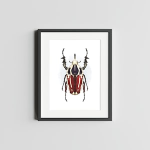 BEETLE GOLIATH Impression d'art 5 x 7 de scarabée Impression d'art déco d'oeuvre d'art insecte pour la maison Impression d'art d'insecte impression d'art scarabée carte postale d'art aquarelle
