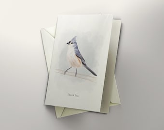 Tufted Titmouse Thank You Card, Bird Illustration