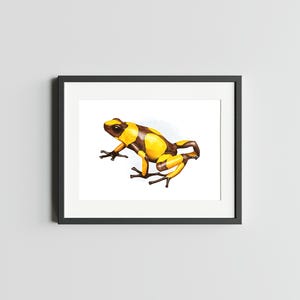 Poison Dart RAYÉ GRENOUILLE Impression d'art 5 x 7 de grenouille Impression d'art déco d'art de grenouille pour la maison Impression de carte postale de grenouille Carte postale aquarelle de grenouille