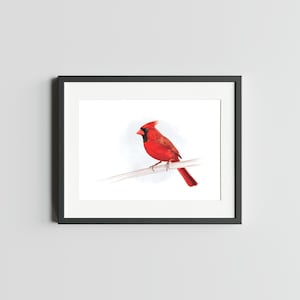 CARDINAL DU NORD Impression d'art 5 x 7 de l'oiseau cardinal rouge Art décoration murale Art du cardinal Illustration aquarelle d'oiseau Carte postale du cardinal