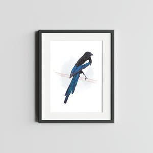 Pie pie à bec noir 5 x 7 impression d'art d'oiseau de pie décoration d'intérieur d'art d'art mural de pie aquarelle illustration d'oiseau carte postale de pie
