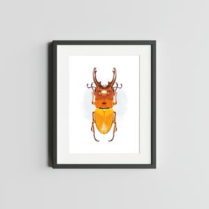Scarabée gladiateur 5 x 7 impression d'art de scarabée impression d'art déco d'oeuvre d'art d'insecte pour la maison impression d'art d'insecte impression d'art scarabée carte postale aquarelle