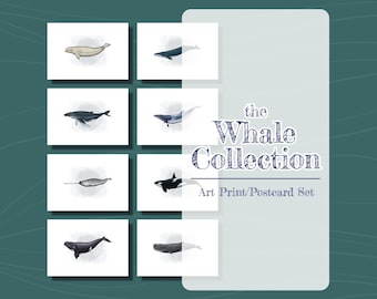 Whale Art Prints Set of 8, Marine Life Postcards (5x7)