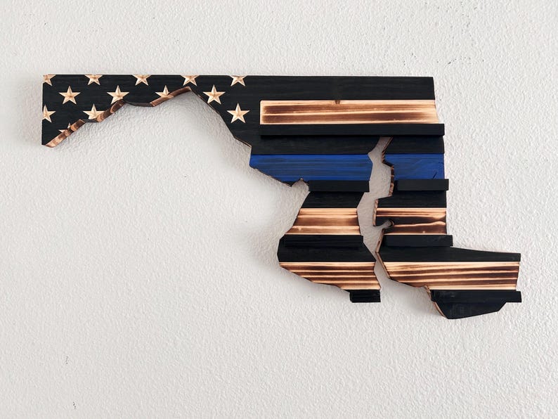 State Shaped Challenge Coin Display: Thin Blue Line Police Gift, Thin Red Line Gift, Military Gift, Thin Green Line Lift, Thin Yellow Line image 20