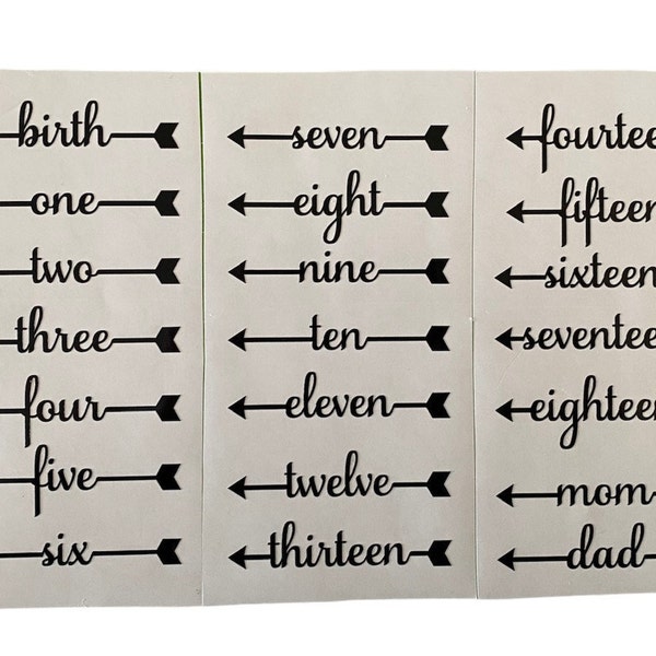 Growth Chart Decals Etsy