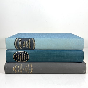May include: A stack of three hardback books with blue, teal and grey covers. The top book has the title "Goethe" and the text "Wilhelm Meisters Apprenticeship". The middle book has the title "The Magic Mountain" and the text "Thomas Mann". The bottom book has the title "Peter Ibbetson" and the text "George du Maurier".