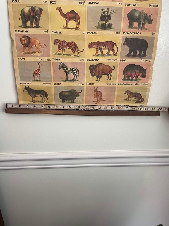 Vintage India Animal School Chart Poster With English and - Etsy Vintage India Animal School Chart Poster With English and - Etsy