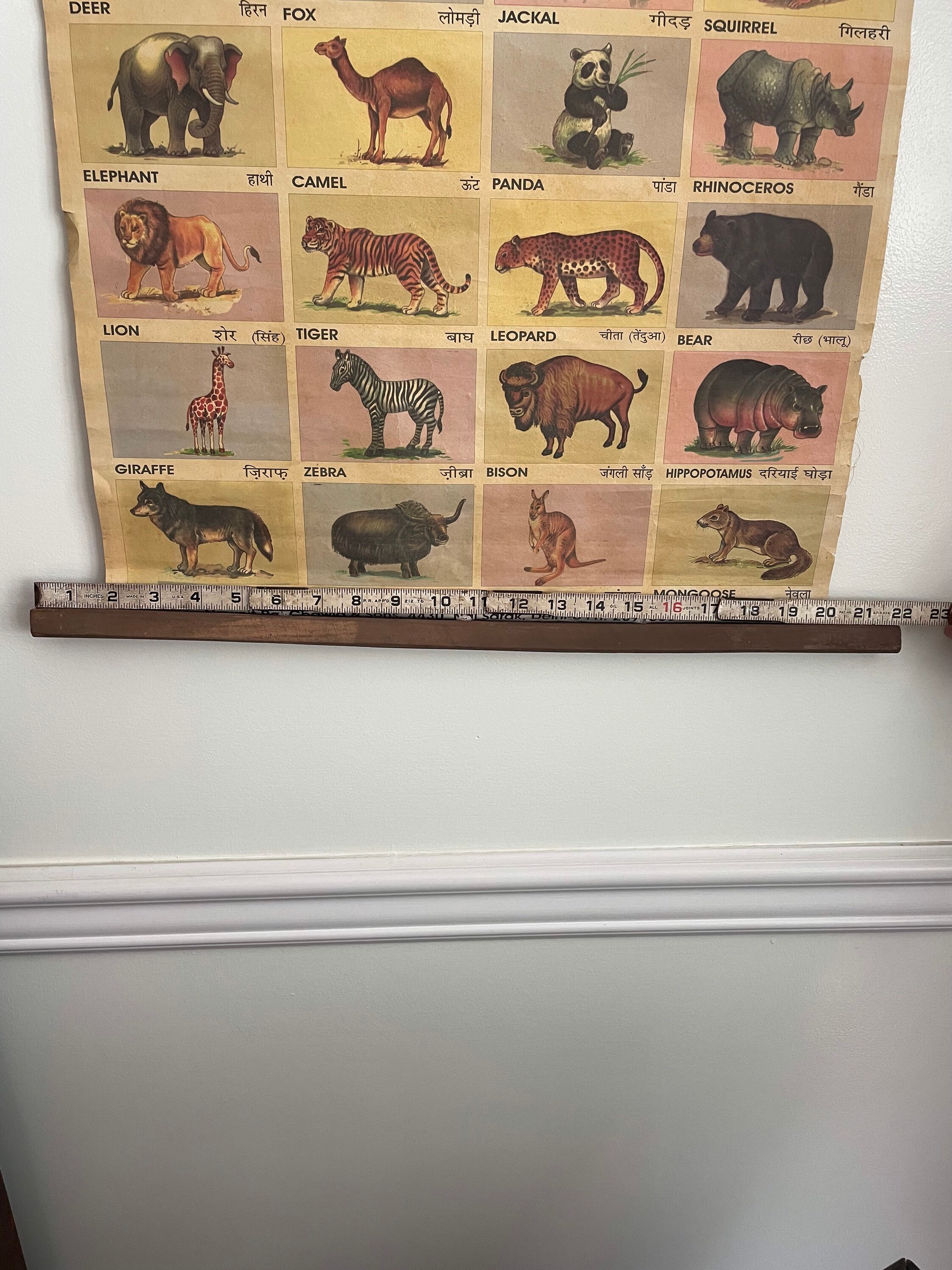 Vintage India Animal School Chart Poster With English and - Etsy Ireland Vintage India Animal School Chart Poster With English and - Etsy Ireland