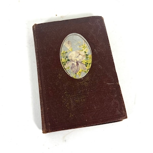 Through the Looking Glass and What Alice Found There by Lewis Carroll with John Tenniel Illustrations | Vintage Alice in Wonderland Book