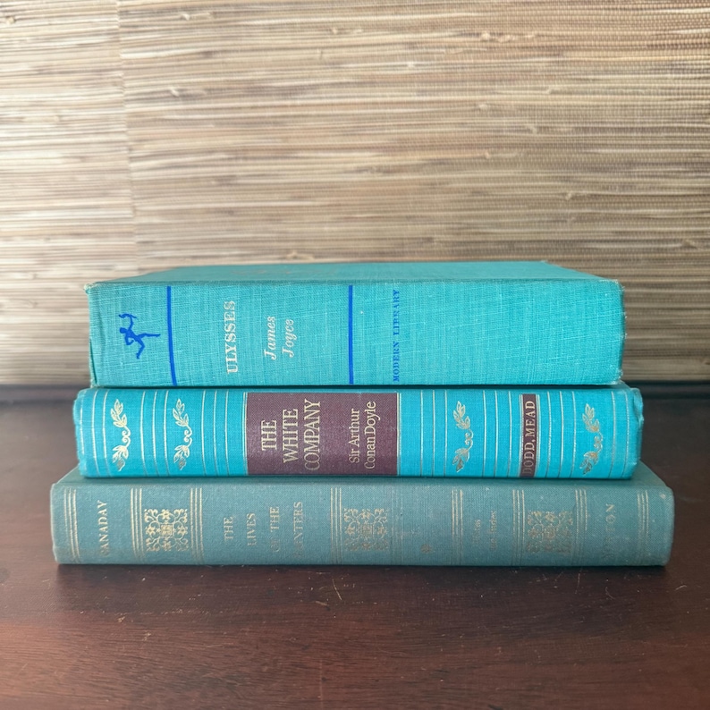 Muted Color Book Stack Small Stack of Turquoise Blue-green Vintage Books - Etsy