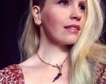 El colgante de cráneo de ciervo