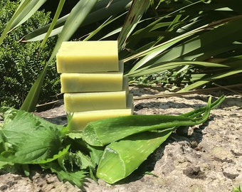 Moisturising Aloe Vera & Nettle Shampoo Bar (Unscented)