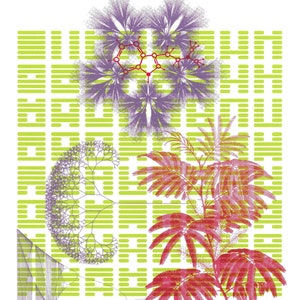 Gnosis - Screenprint