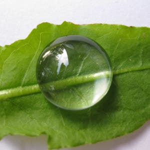 May include: A close-up of a single, clear water droplet resting on a green leaf. The droplet is round and reflects the surrounding environment.