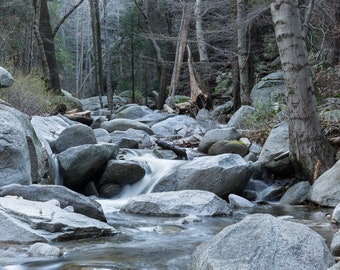 Peaceful Creek - Portrait - Metal Print