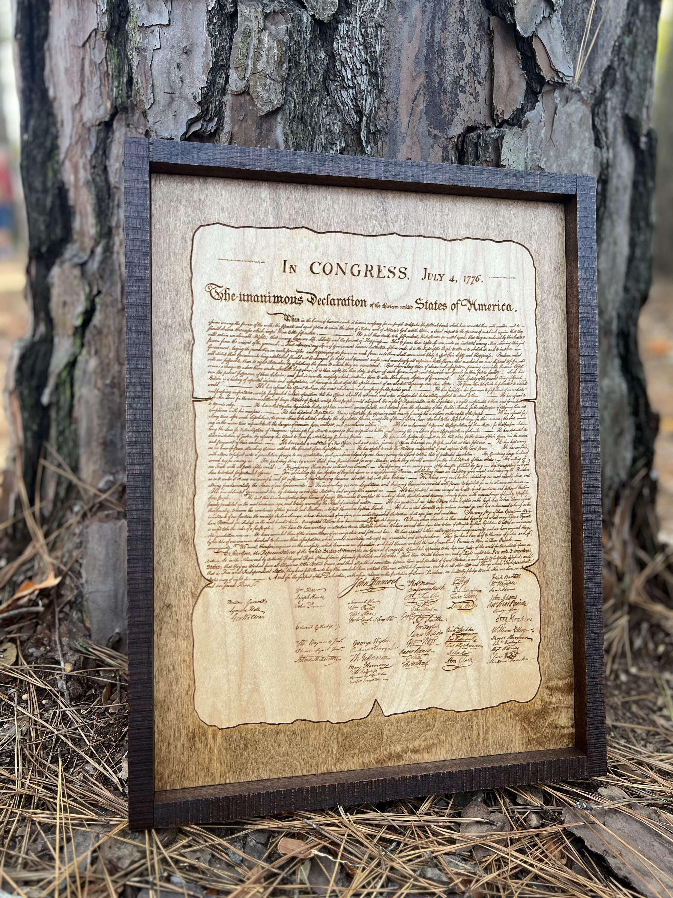 declaration of independence wall hangar