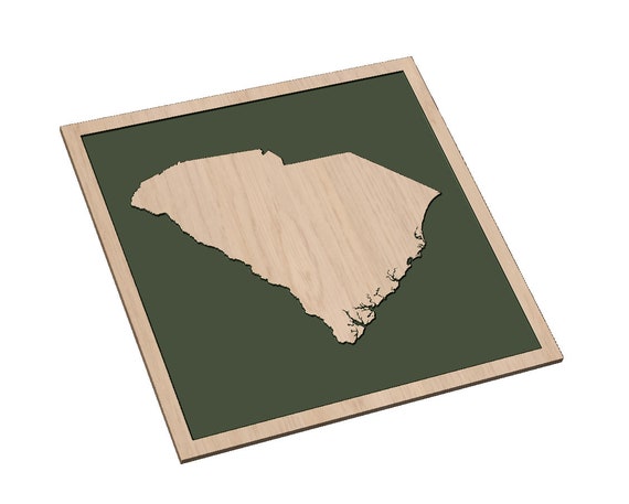 DETAILED South Carolina State Outline - SVG