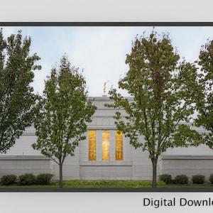 Palmyra New York Temple stain glass of the Sacred Grove