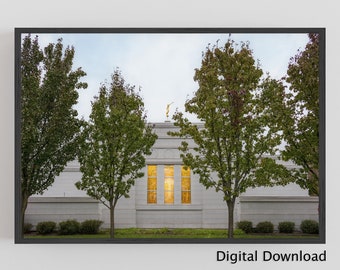 Palmyra New York Temple stain glass of the Sacred Grove