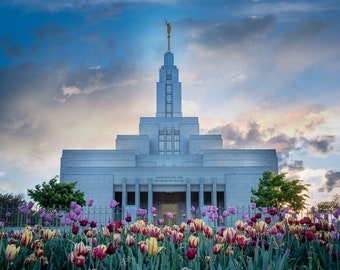 Utah Draper Temple Spring Tulips