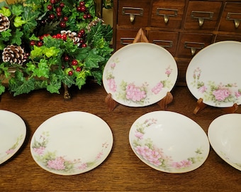 Vintage set of 6 bone china hand-painted dessert plates.