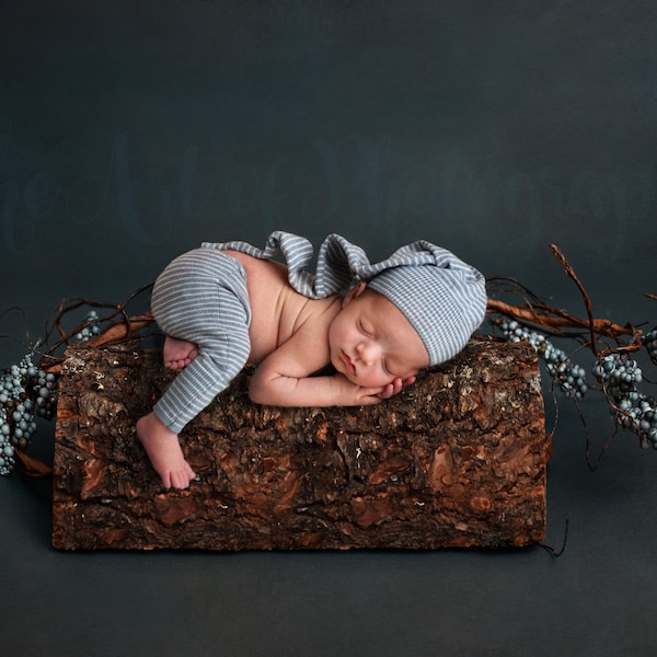 Newborn Baby Boy or Girl Digital Backdrop Background  Natural Wood Log and Flowers Blue Vintage