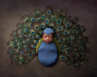 8x12 FT Peacock Vinyl Photography Backdrop,Male Peacock Feathers Springtime Wilderness Crowned Majestic Artsy Animal Pattern Background for Party Home Decor Outdoorsy Theme Shoot Props 8x12 FT Peacock Vinyl Photography Backdrop,Male Peacock Feathers Springtime Wilderness Crowned Majestic Artsy Animal Pattern Background for Party Home Decor Outdoorsy Theme Shoot Props