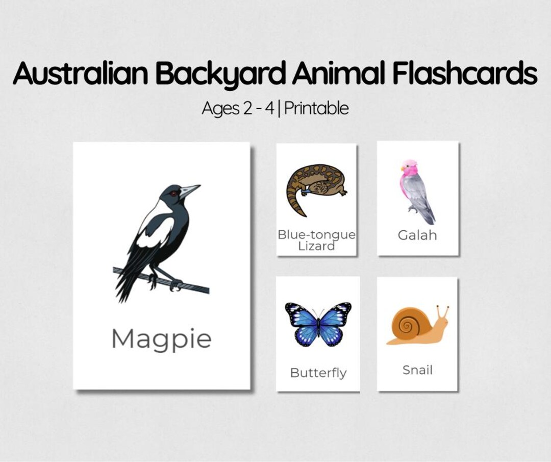 Australian Backyard Animal Flashcards for Toddlers | Printable Early ...