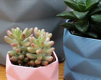 Small 3D Printed Geometric Planter: Cacti, Succulents, Houseplants