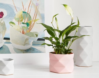 Medium Pot / Planter / Desk Tidy - 3D Printed For Cacti/Cactus, Succulents, Houseplants