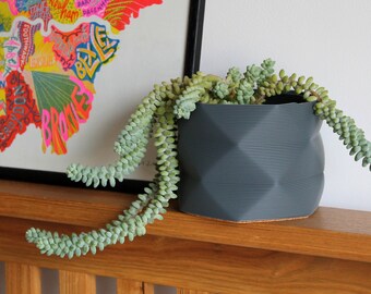 Large Pot / Planter / Desk Tidy - 3D Printed For Cacti/Cactus, Succulents, Houseplants