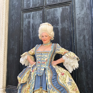 Historical Costume of the 1700s, 18th Century Costume, Carnival Costume, Halloween Costume image 7