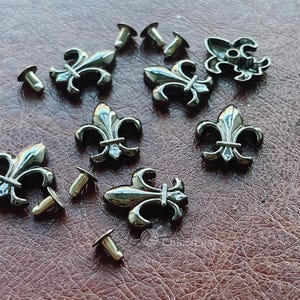 May include: A selection of silver-coloured fleur-de-lis shaped metal studs and matching rivets. The studs are arranged on a brown leather-like surface. The fleur-de-lis design is a classic symbol, often used in decorative applications.