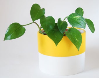 Colour Pop Indoor Plant Pots | Jesmonite planter