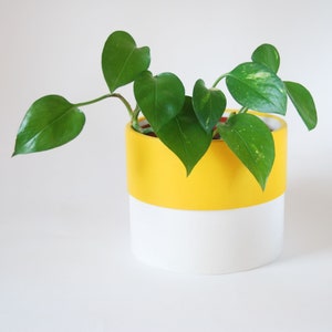 Colour Pop Indoor Plant Pots | Jesmonite planter