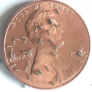 May include: A copper-colored US penny with the words "In God We Trust" and "Liberty" inscribed on it. The year 2006 is visible on the coin. The coin is covered in small, silver-colored, spring-like objects.